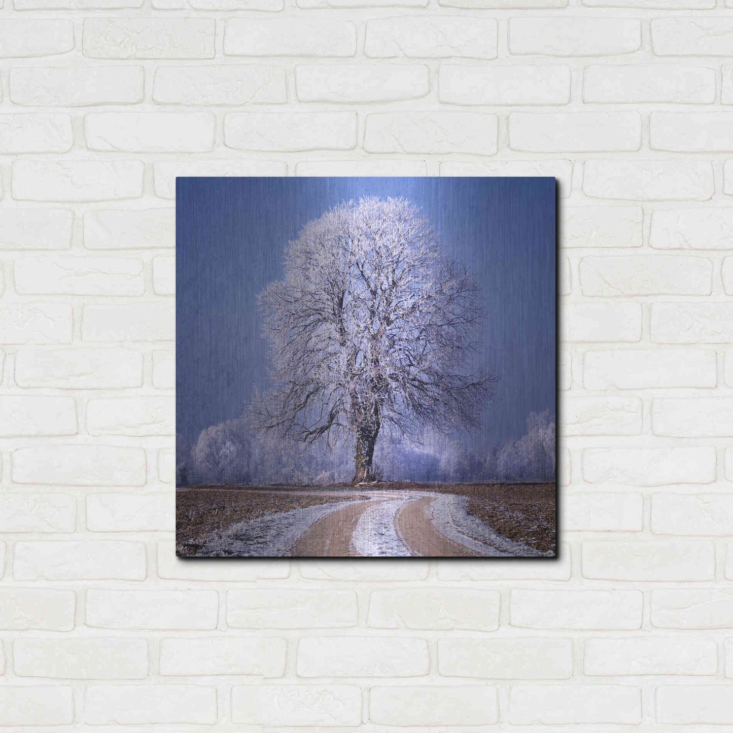 Luxe Metal Art 'The Sounds Of Silence' by Philippe Sainte-Laudy, Metal Wall Art,36x36