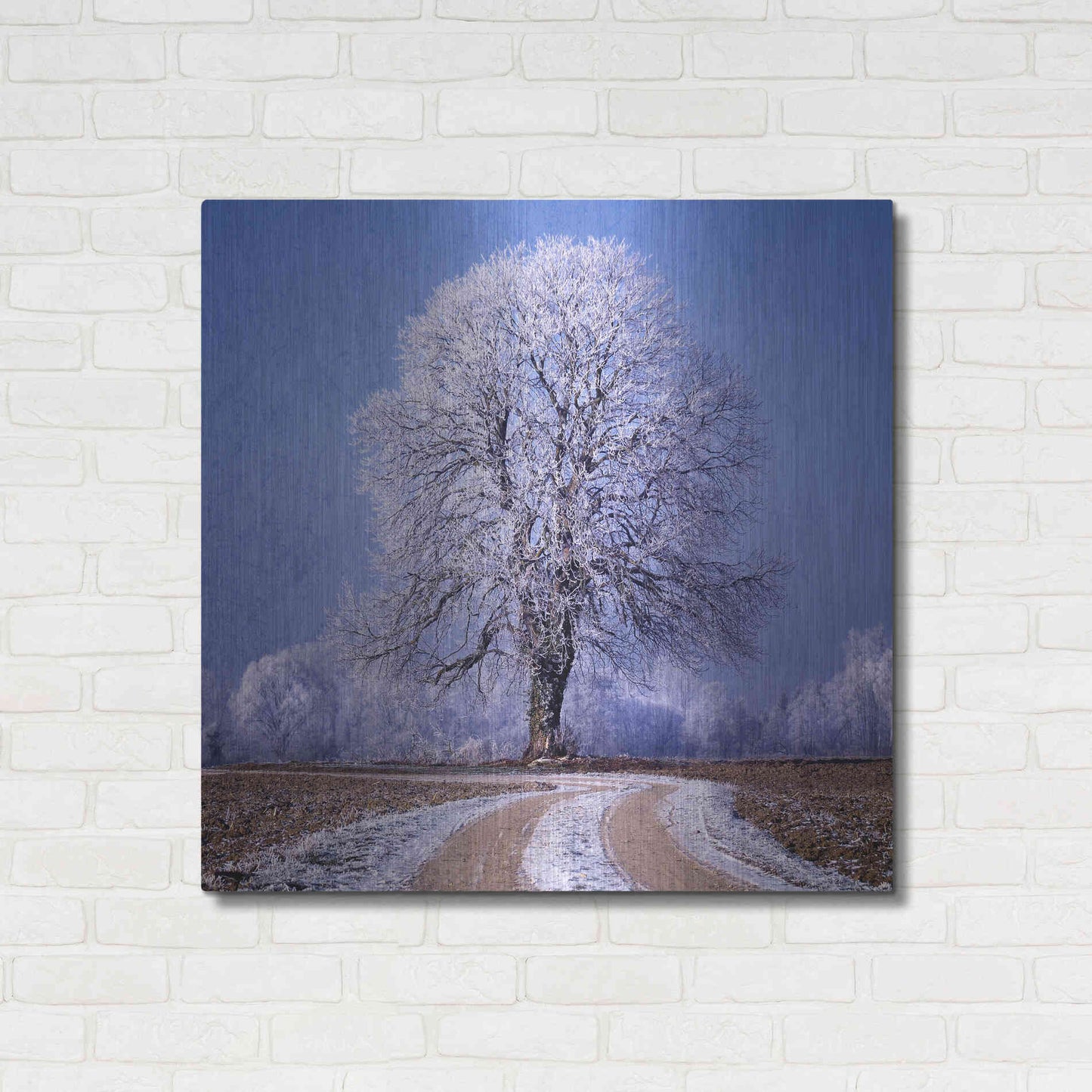 Luxe Metal Art 'The Sounds Of Silence' by Philippe Sainte-Laudy, Metal Wall Art,36x36