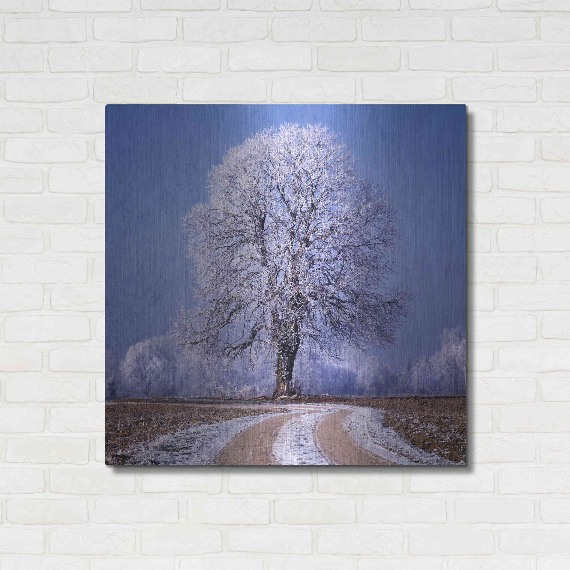 Luxe Metal Art 'The Sounds Of Silence' by Philippe Sainte-Laudy, Metal Wall Art,36x36