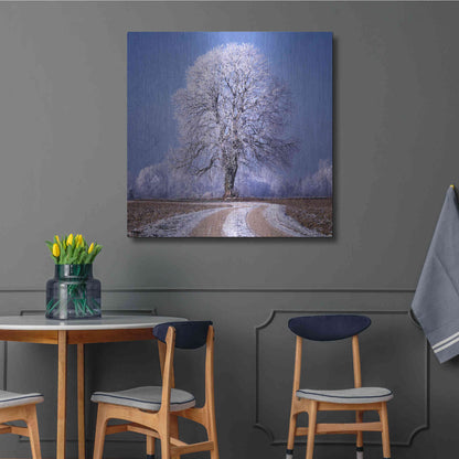 Luxe Metal Art 'The Sounds Of Silence' by Philippe Sainte-Laudy, Metal Wall Art,36x36