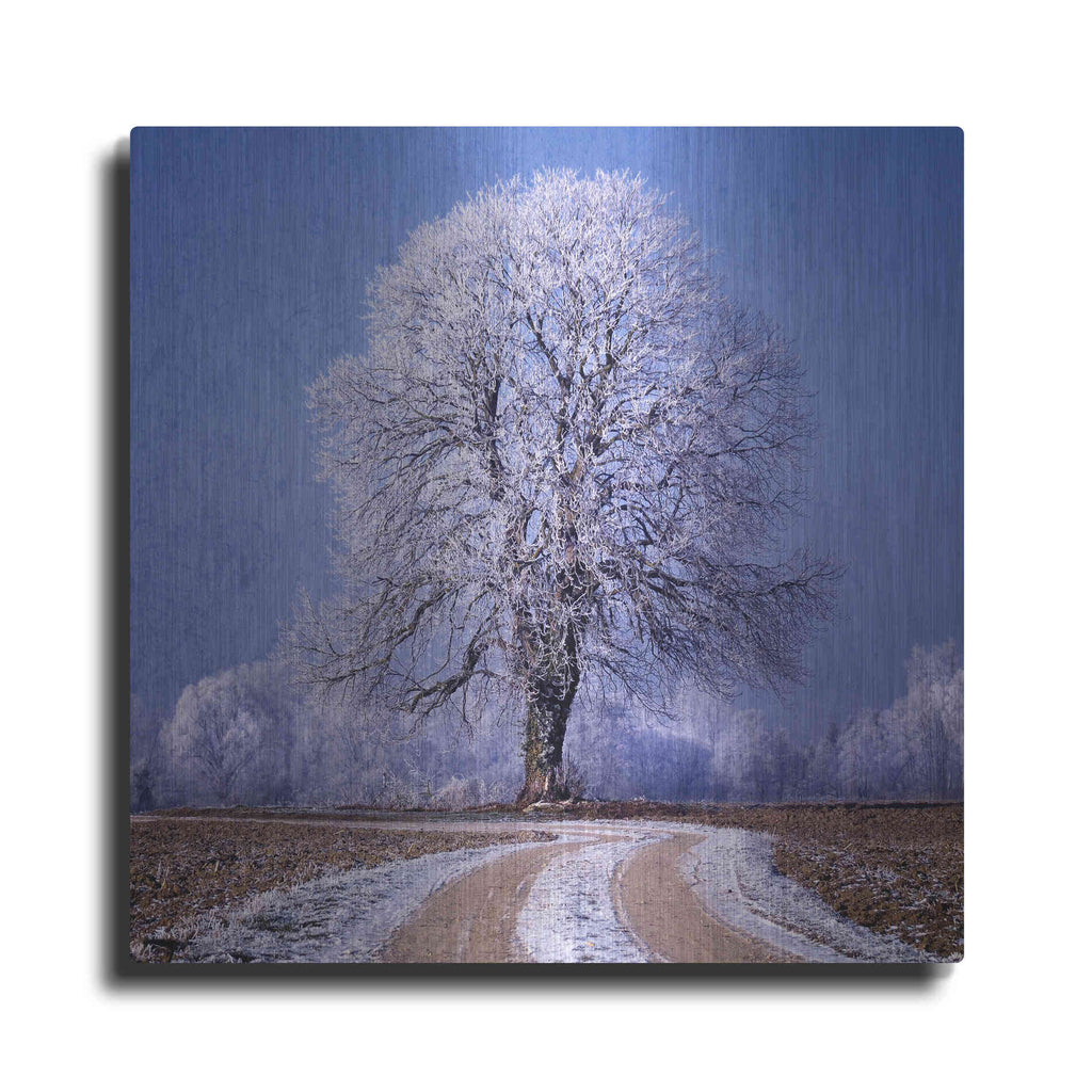 Luxe Metal Art 'The Sounds Of Silence' by Philippe Sainte-Laudy, Metal Wall Art