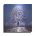 Luxe Metal Art 'The Sounds Of Silence' by Philippe Sainte-Laudy, Metal Wall Art