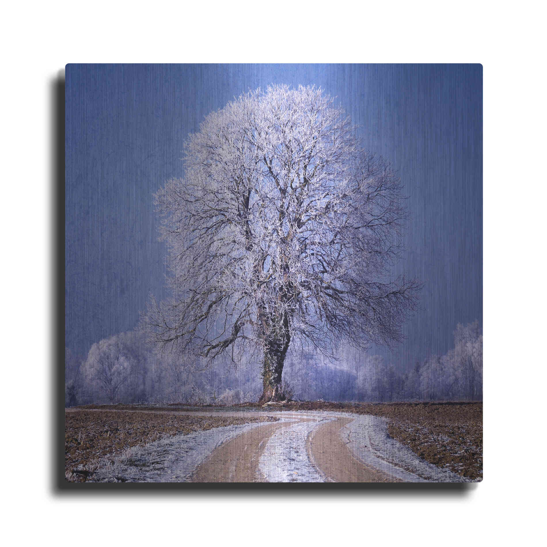 Luxe Metal Art 'The Sounds Of Silence' by Philippe Sainte-Laudy, Metal Wall Art