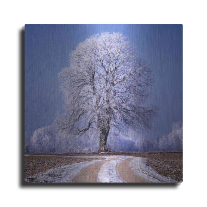 Luxe Metal Art 'The Sounds Of Silence' by Philippe Sainte-Laudy, Metal Wall Art