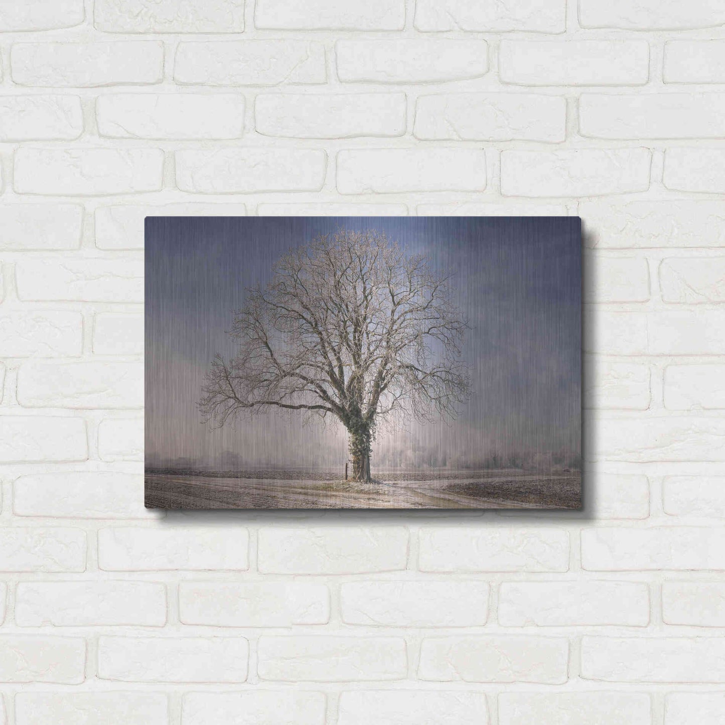 Luxe Metal Art 'The Tree Fairy Tale' by Philippe Sainte-Laudy, Metal Wall Art,24x16