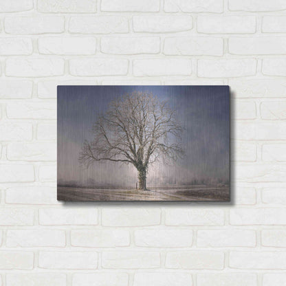 Luxe Metal Art 'The Tree Fairy Tale' by Philippe Sainte-Laudy, Metal Wall Art,24x16