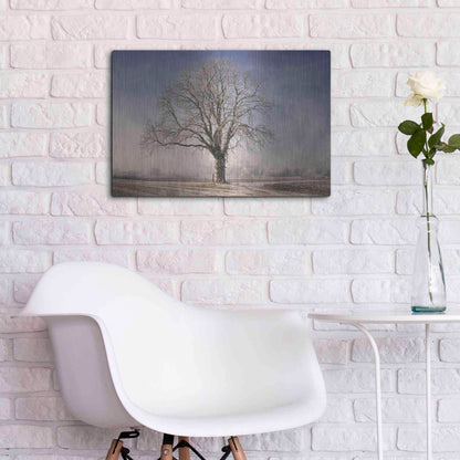 Luxe Metal Art 'The Tree Fairy Tale' by Philippe Sainte-Laudy, Metal Wall Art,24x16