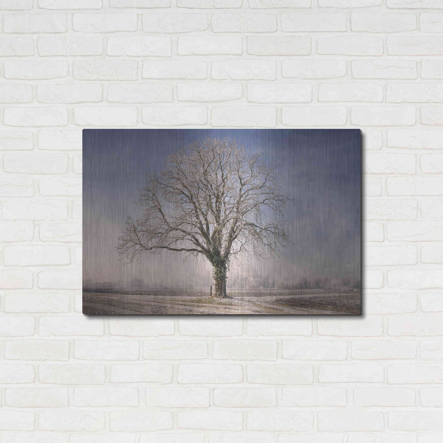 Luxe Metal Art 'The Tree Fairy Tale' by Philippe Sainte-Laudy, Metal Wall Art,36x24