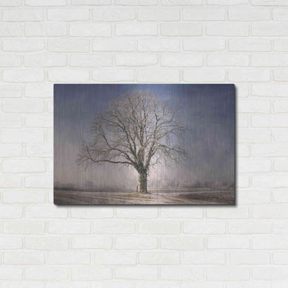 Luxe Metal Art 'The Tree Fairy Tale' by Philippe Sainte-Laudy, Metal Wall Art,36x24