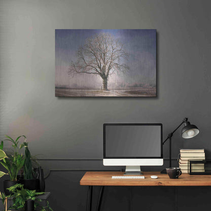 Luxe Metal Art 'The Tree Fairy Tale' by Philippe Sainte-Laudy, Metal Wall Art,36x24