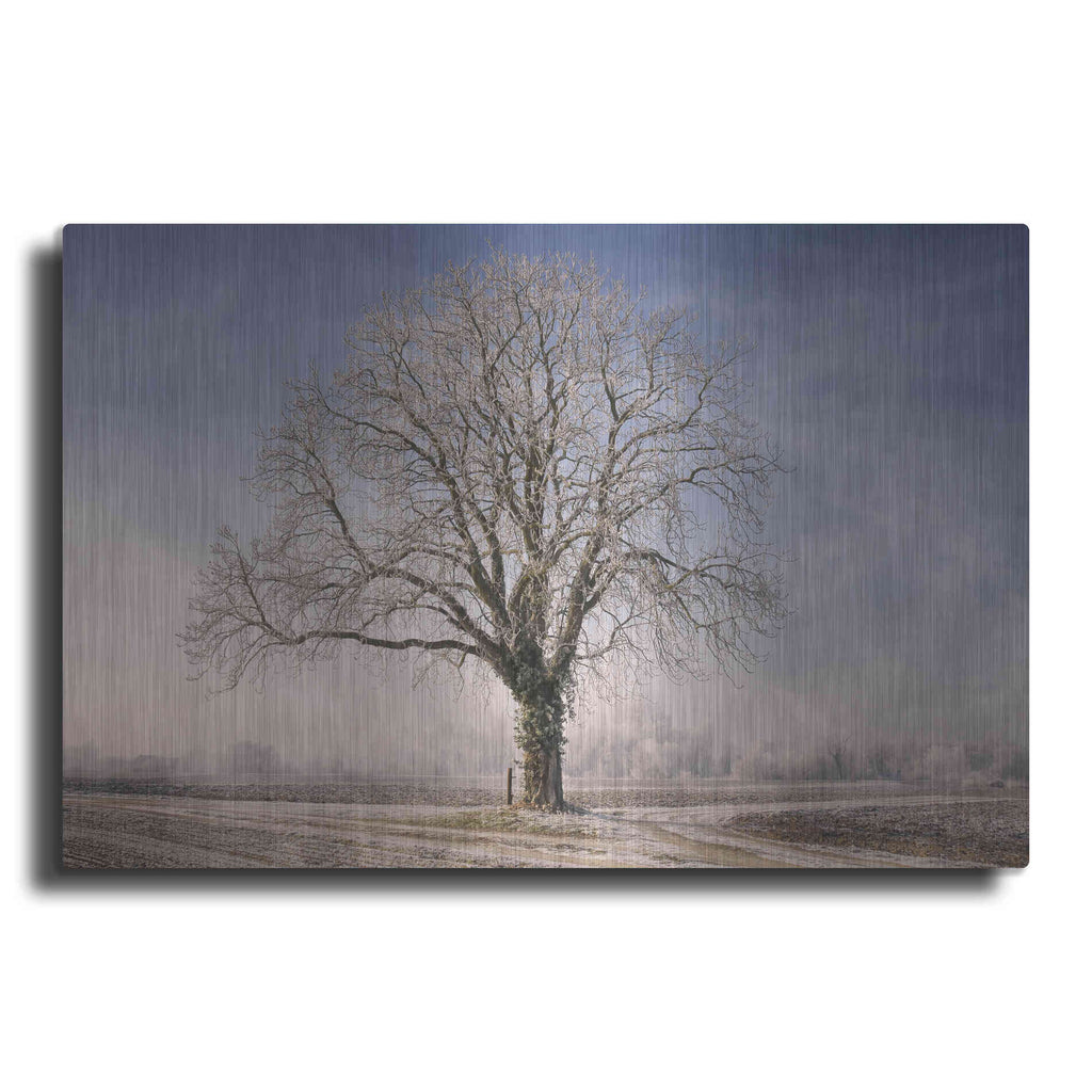 Luxe Metal Art 'The Tree Fairy Tale' by Philippe Sainte-Laudy, Metal Wall Art