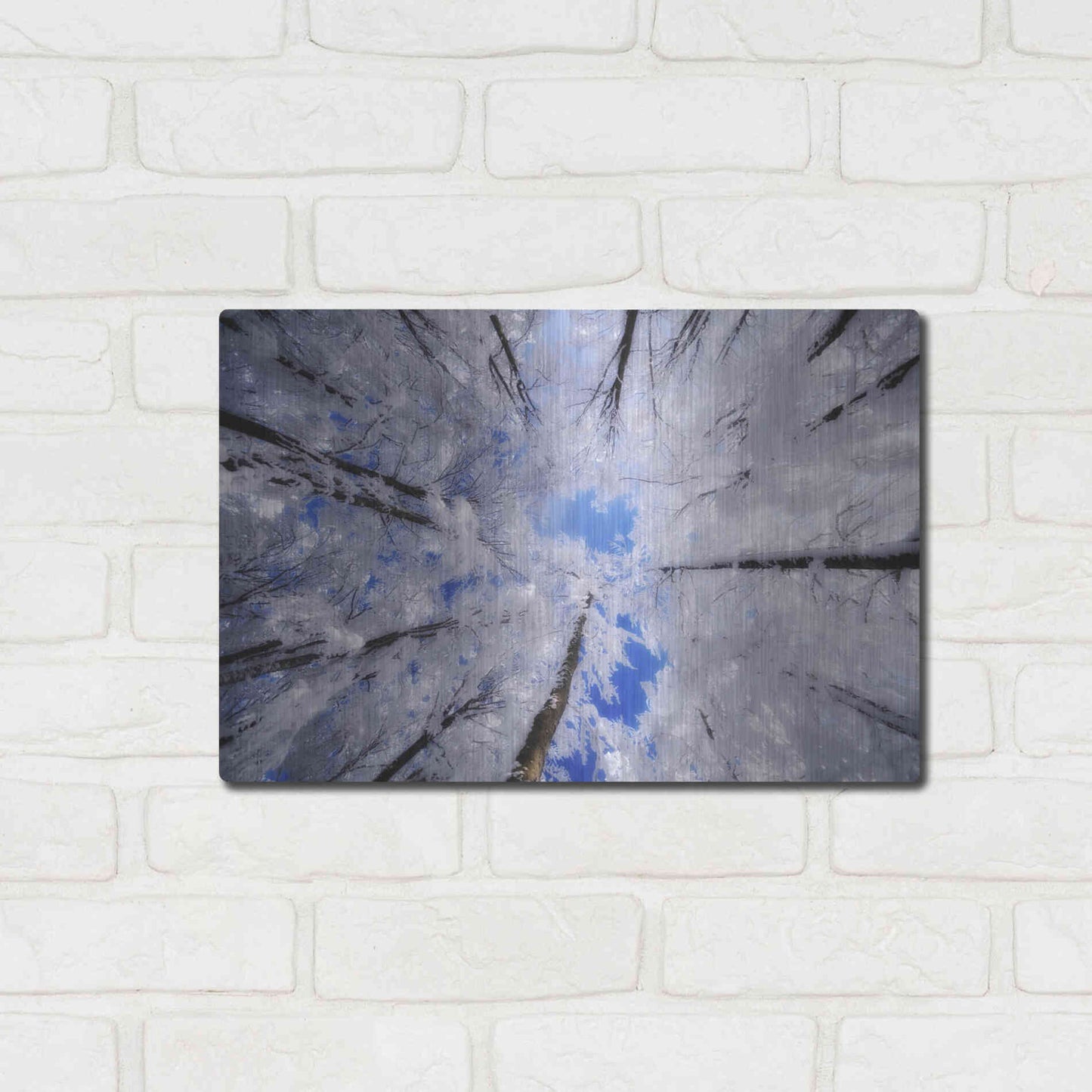 Luxe Metal Art 'Turn Carousel' by Philippe Sainte-Laudy, Metal Wall Art,16x12