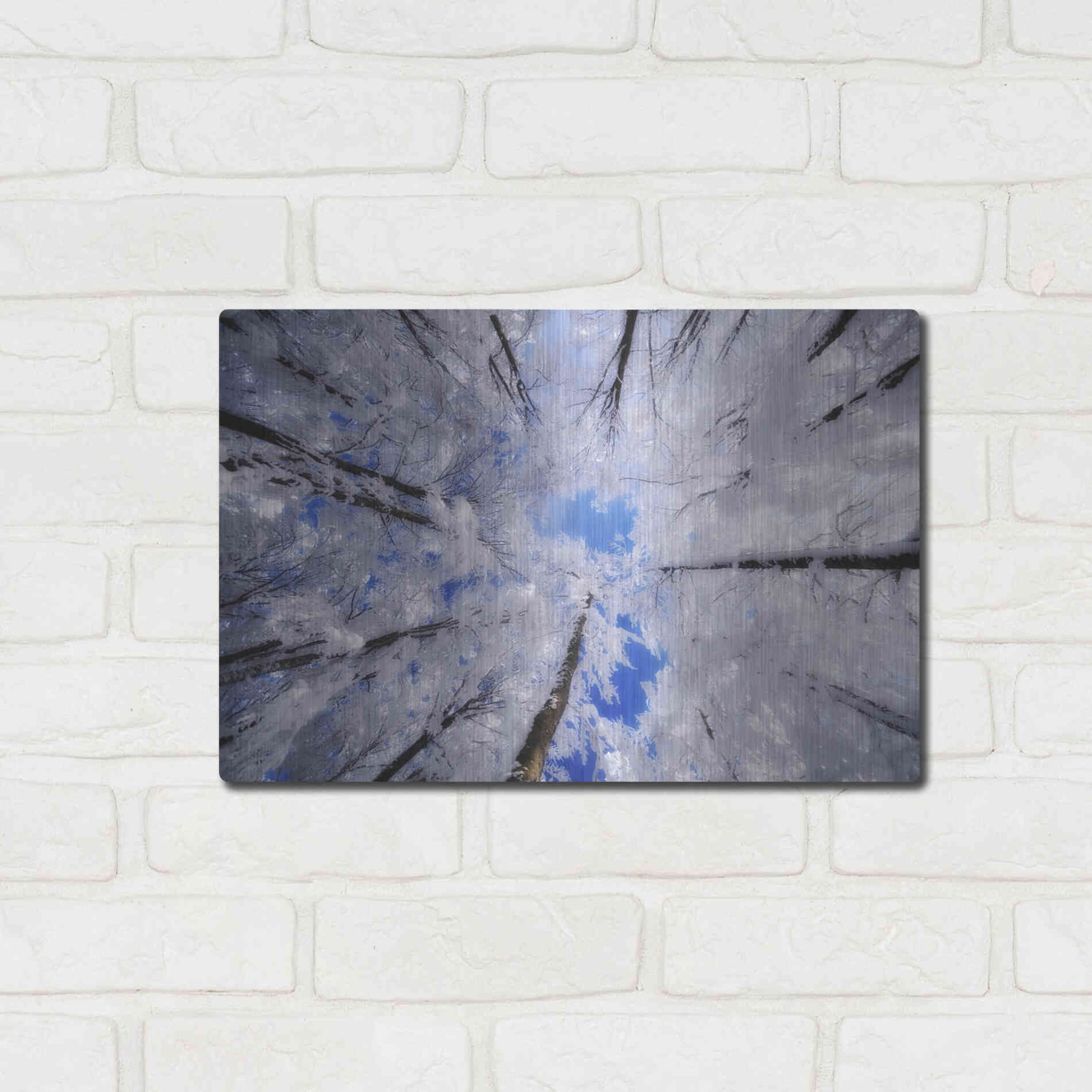 Luxe Metal Art 'Turn Carousel' by Philippe Sainte-Laudy, Metal Wall Art,16x12