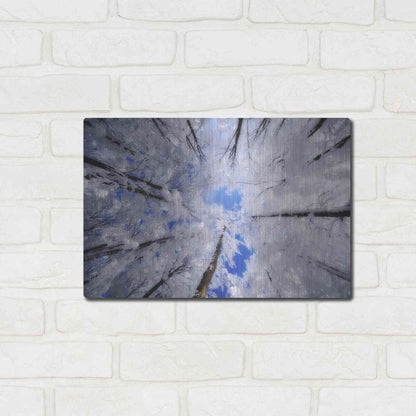 Luxe Metal Art 'Turn Carousel' by Philippe Sainte-Laudy, Metal Wall Art,16x12