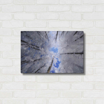 Luxe Metal Art 'Turn Carousel' by Philippe Sainte-Laudy, Metal Wall Art,24x16