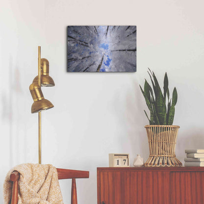 Luxe Metal Art 'Turn Carousel' by Philippe Sainte-Laudy, Metal Wall Art,24x16