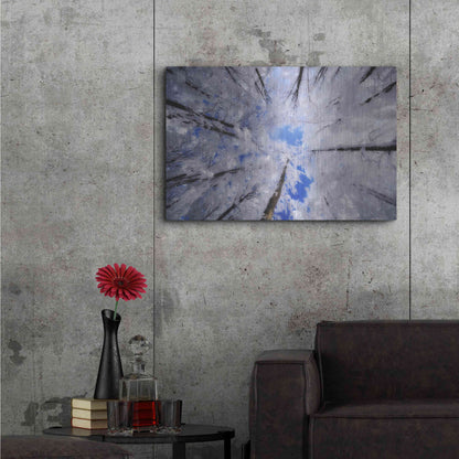 Luxe Metal Art 'Turn Carousel' by Philippe Sainte-Laudy, Metal Wall Art,36x24