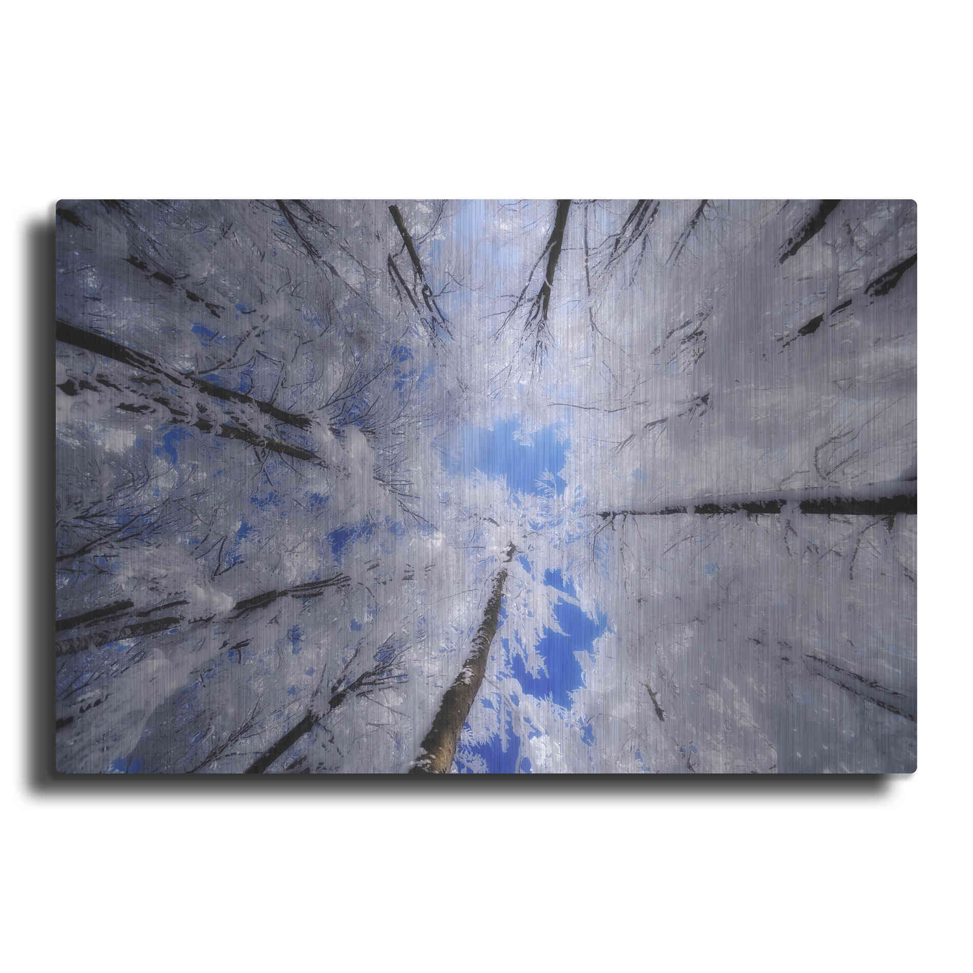 Luxe Metal Art 'Turn Carousel' by Philippe Sainte-Laudy, Metal Wall Art