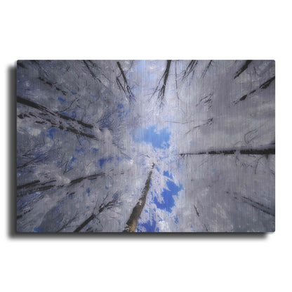 Luxe Metal Art 'Turn Carousel' by Philippe Sainte-Laudy, Metal Wall Art