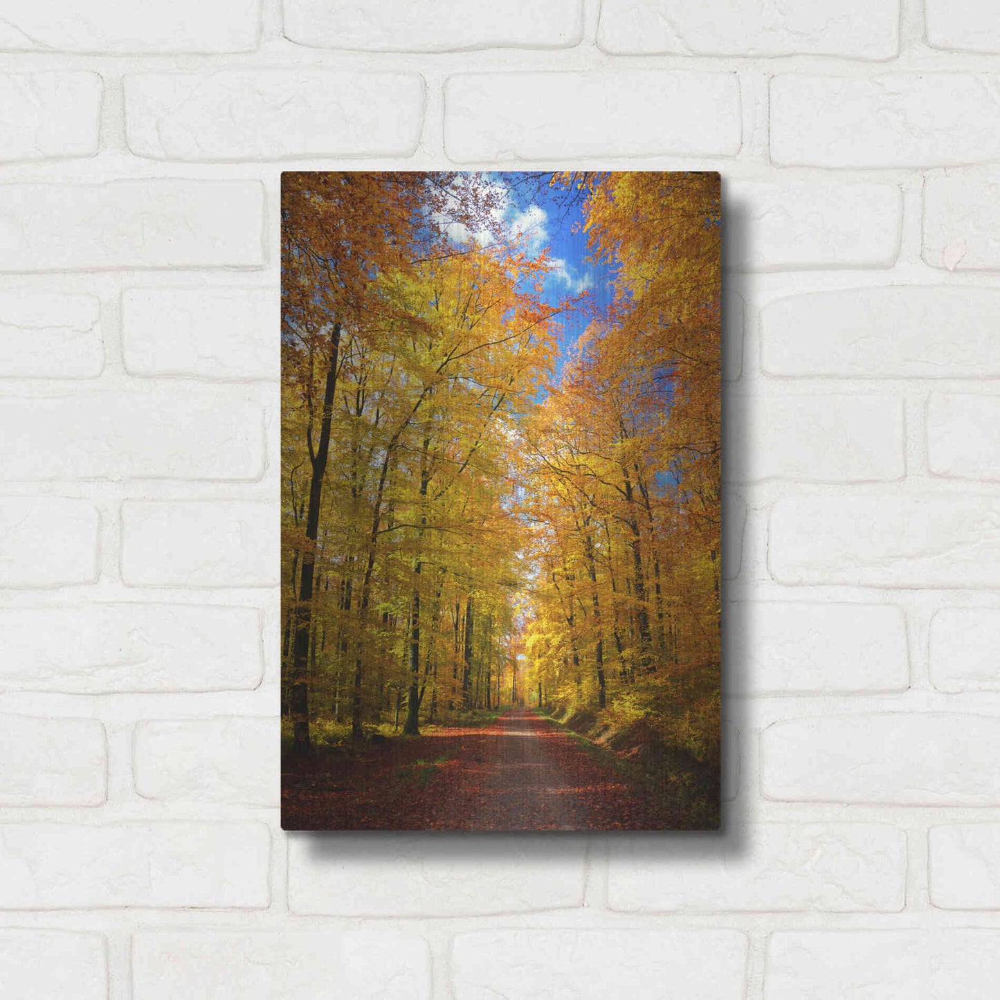 Luxe Metal Art 'Way to Fall' by Philippe Sainte-Laudy, Metal Wall Art,12x16