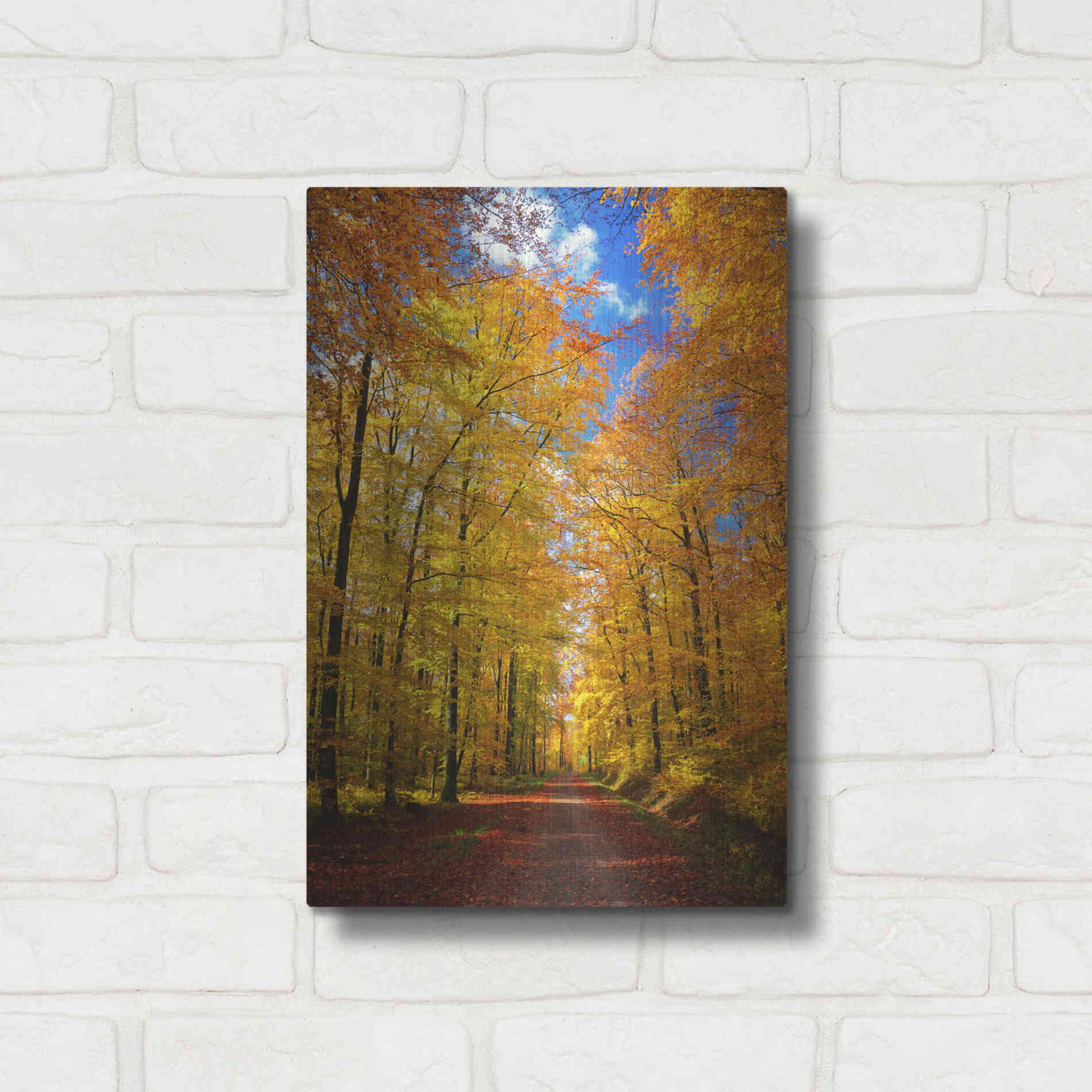 Luxe Metal Art 'Way to Fall' by Philippe Sainte-Laudy, Metal Wall Art,12x16