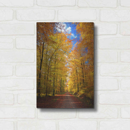 Luxe Metal Art 'Way to Fall' by Philippe Sainte-Laudy, Metal Wall Art,12x16