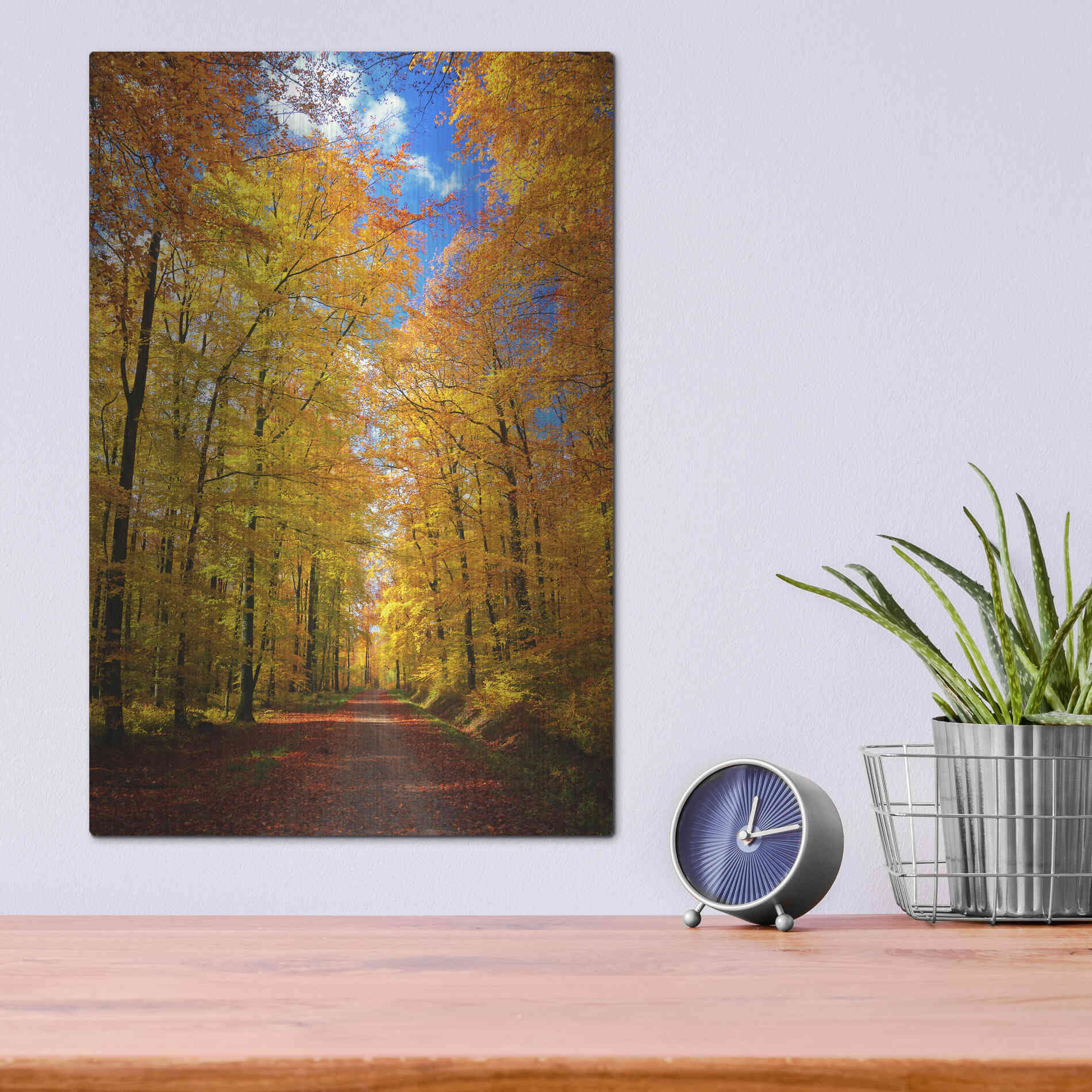 Luxe Metal Art 'Way to Fall' by Philippe Sainte-Laudy, Metal Wall Art,12x16