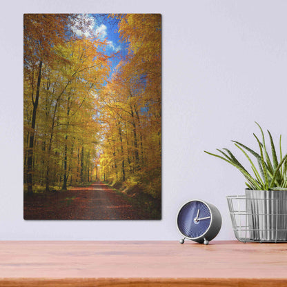 Luxe Metal Art 'Way to Fall' by Philippe Sainte-Laudy, Metal Wall Art,12x16