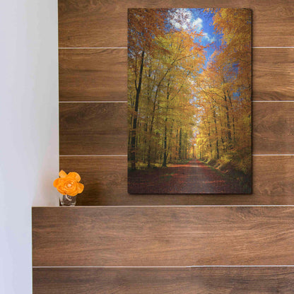 Luxe Metal Art 'Way to Fall' by Philippe Sainte-Laudy, Metal Wall Art,12x16