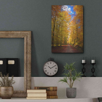 Luxe Metal Art 'Way to Fall' by Philippe Sainte-Laudy, Metal Wall Art,12x16