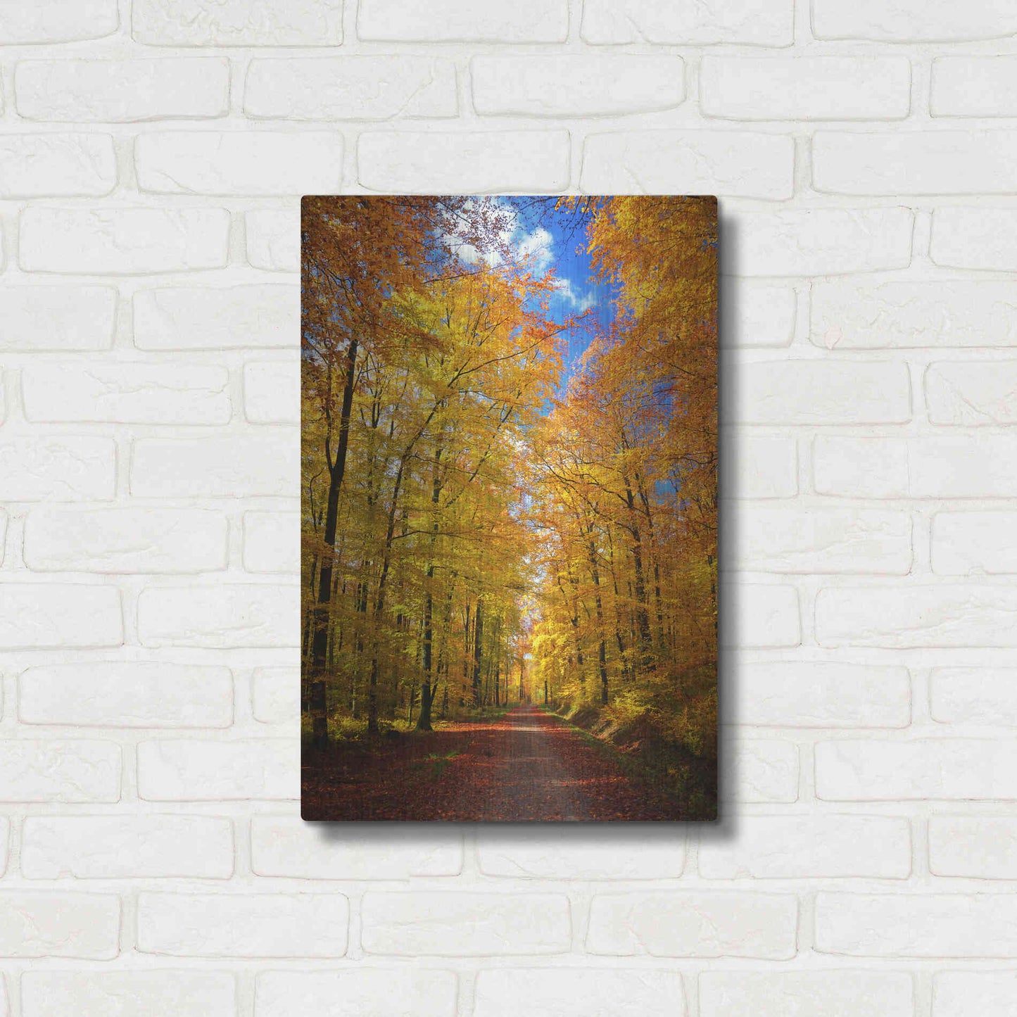 Luxe Metal Art 'Way to Fall' by Philippe Sainte-Laudy, Metal Wall Art,16x24