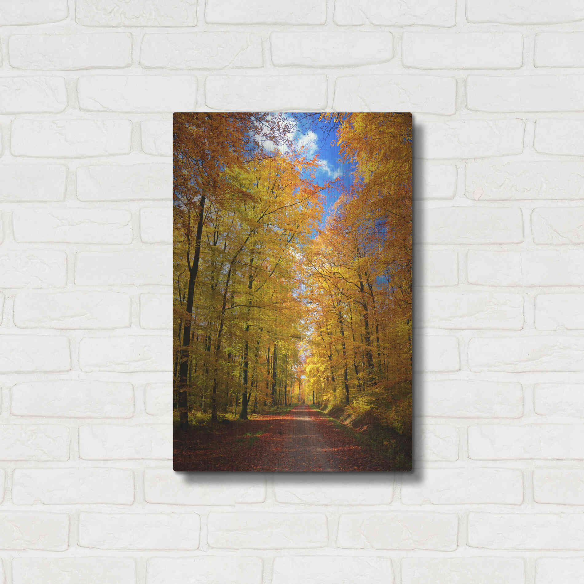 Luxe Metal Art 'Way to Fall' by Philippe Sainte-Laudy, Metal Wall Art,16x24