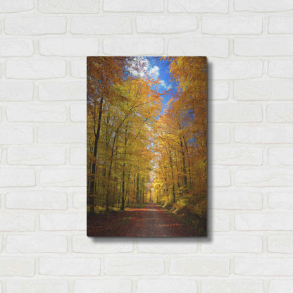 Luxe Metal Art 'Way to Fall' by Philippe Sainte-Laudy, Metal Wall Art,16x24
