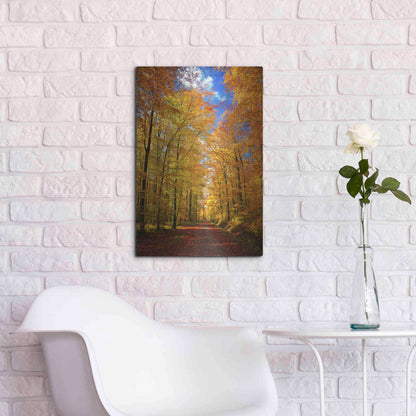 Luxe Metal Art 'Way to Fall' by Philippe Sainte-Laudy, Metal Wall Art,16x24