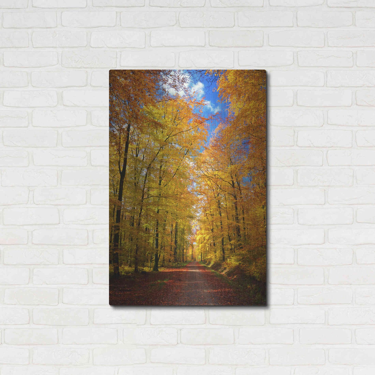 Luxe Metal Art 'Way to Fall' by Philippe Sainte-Laudy, Metal Wall Art,24x36