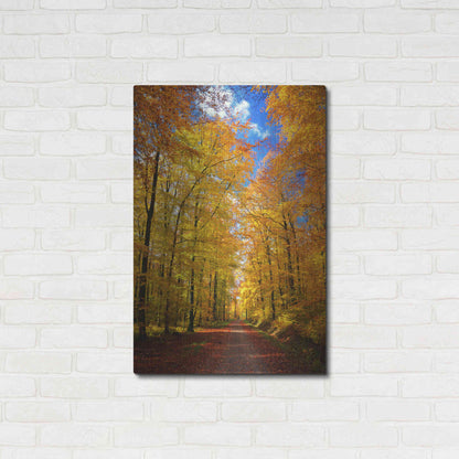 Luxe Metal Art 'Way to Fall' by Philippe Sainte-Laudy, Metal Wall Art,24x36