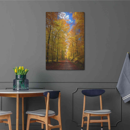 Luxe Metal Art 'Way to Fall' by Philippe Sainte-Laudy, Metal Wall Art,24x36
