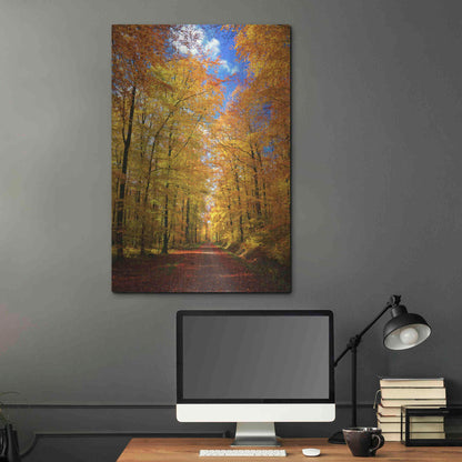 Luxe Metal Art 'Way to Fall' by Philippe Sainte-Laudy, Metal Wall Art,24x36
