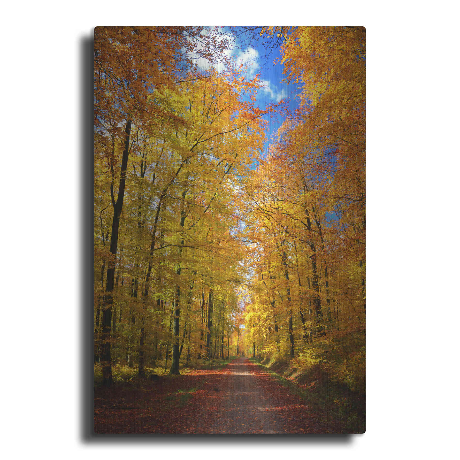 Luxe Metal Art 'Way to Fall' by Philippe Sainte-Laudy, Metal Wall Art