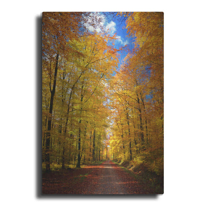 Luxe Metal Art 'Way to Fall' by Philippe Sainte-Laudy, Metal Wall Art