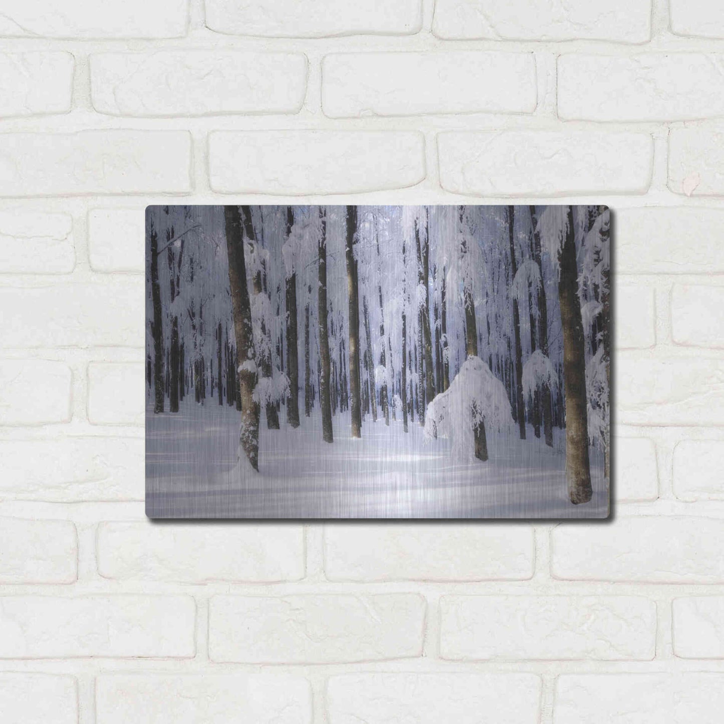 Luxe Metal Art 'White Muslin' by Philippe Sainte-Laudy, Metal Wall Art,16x12