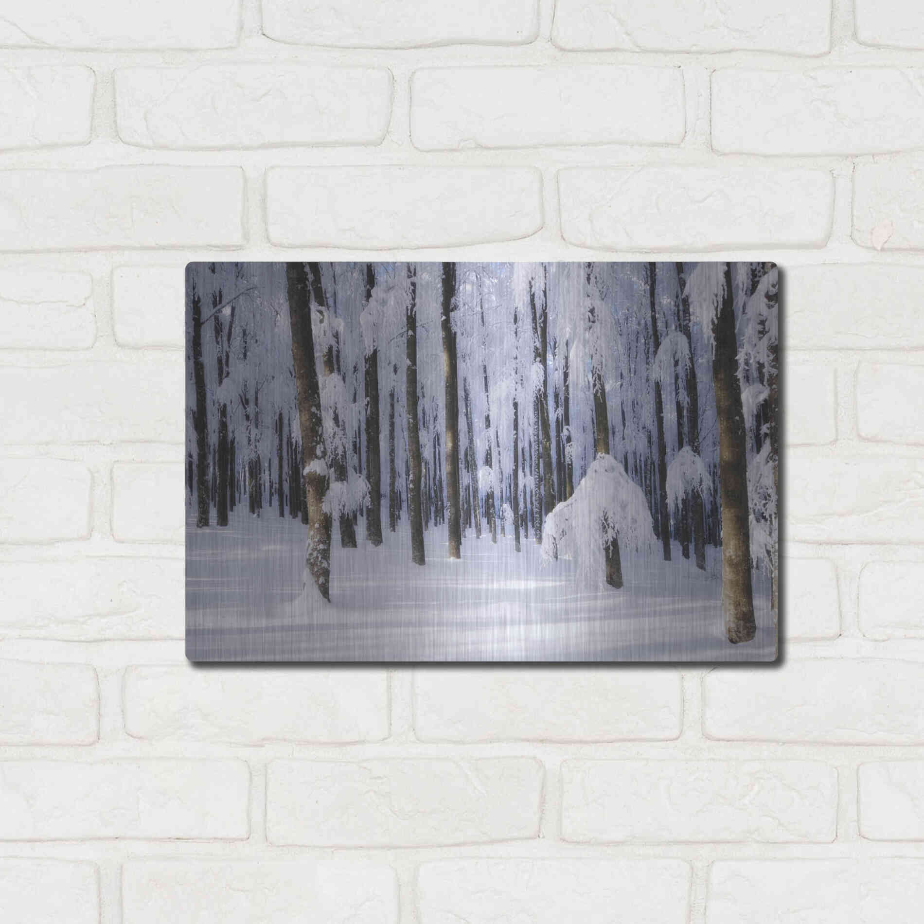 Luxe Metal Art 'White Muslin' by Philippe Sainte-Laudy, Metal Wall Art,16x12