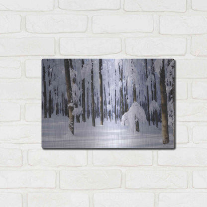 Luxe Metal Art 'White Muslin' by Philippe Sainte-Laudy, Metal Wall Art,16x12