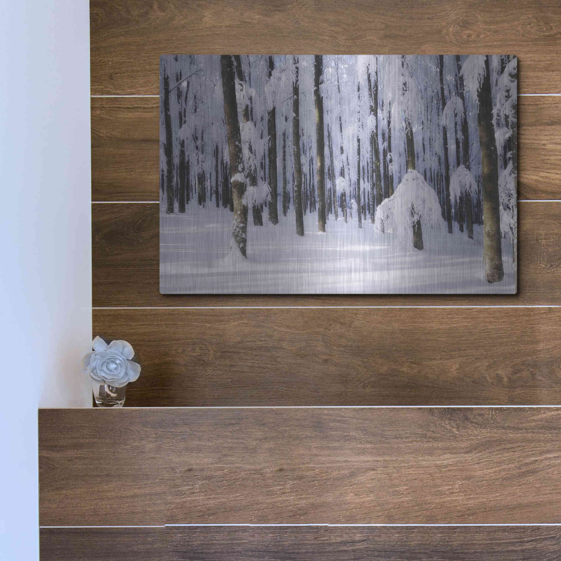 Luxe Metal Art 'White Muslin' by Philippe Sainte-Laudy, Metal Wall Art,16x12