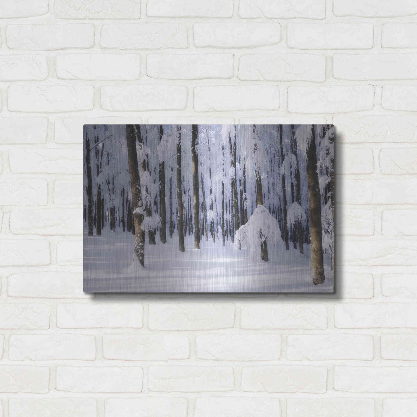 Luxe Metal Art 'White Muslin' by Philippe Sainte-Laudy, Metal Wall Art,24x16