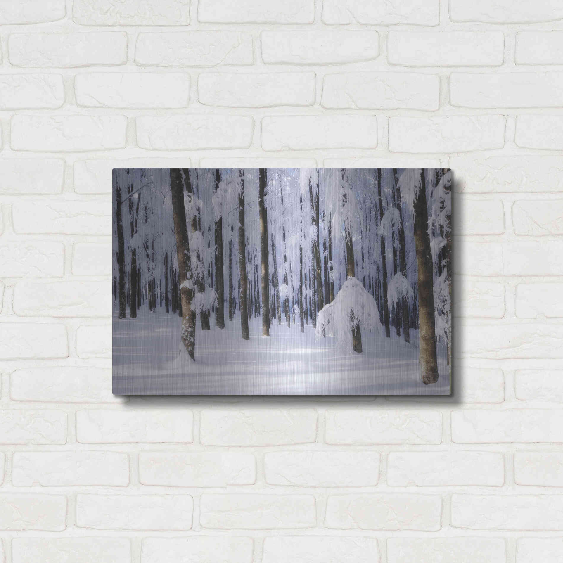 Luxe Metal Art 'White Muslin' by Philippe Sainte-Laudy, Metal Wall Art,24x16