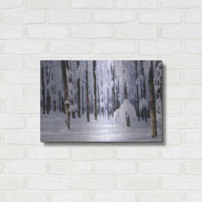 Luxe Metal Art 'White Muslin' by Philippe Sainte-Laudy, Metal Wall Art,24x16