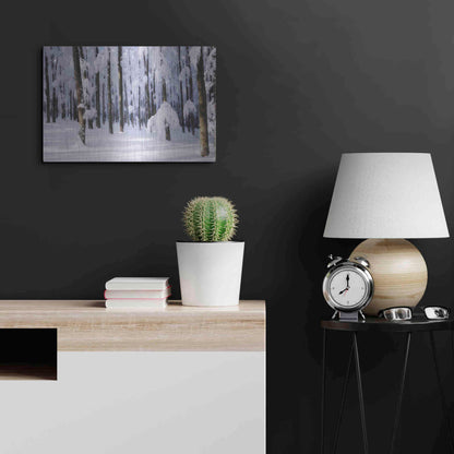 Luxe Metal Art 'White Muslin' by Philippe Sainte-Laudy, Metal Wall Art,24x16