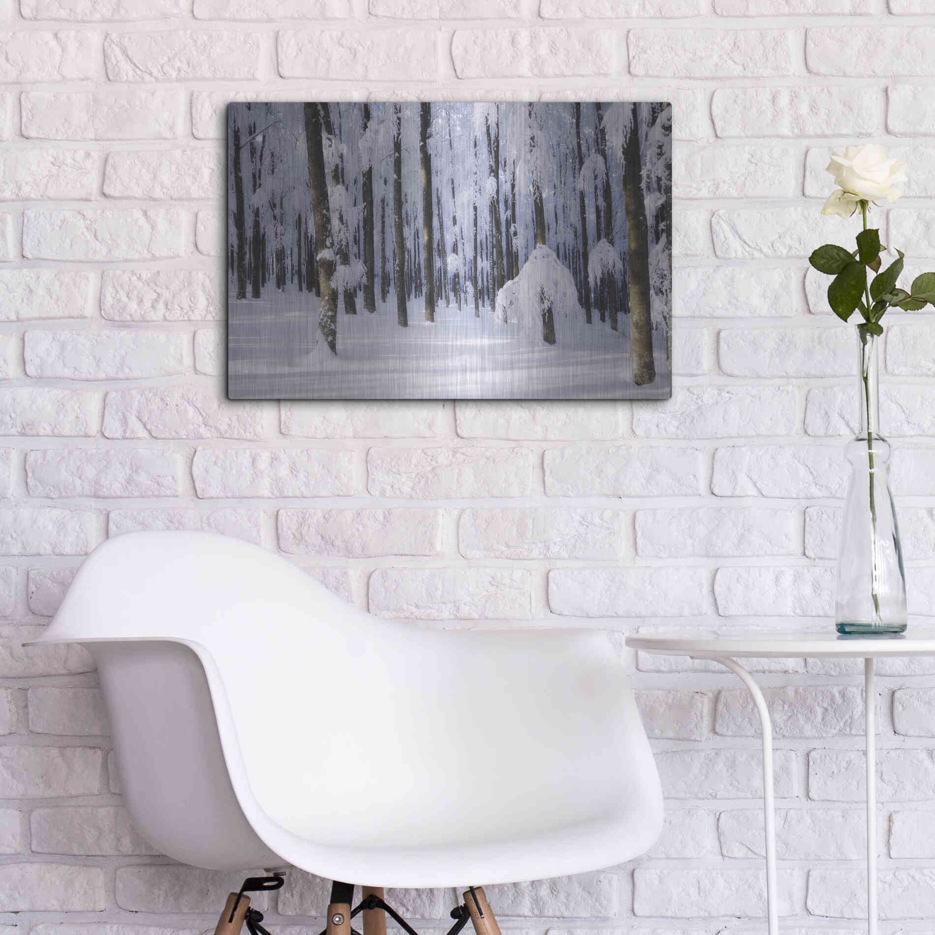 Luxe Metal Art 'White Muslin' by Philippe Sainte-Laudy, Metal Wall Art,24x16