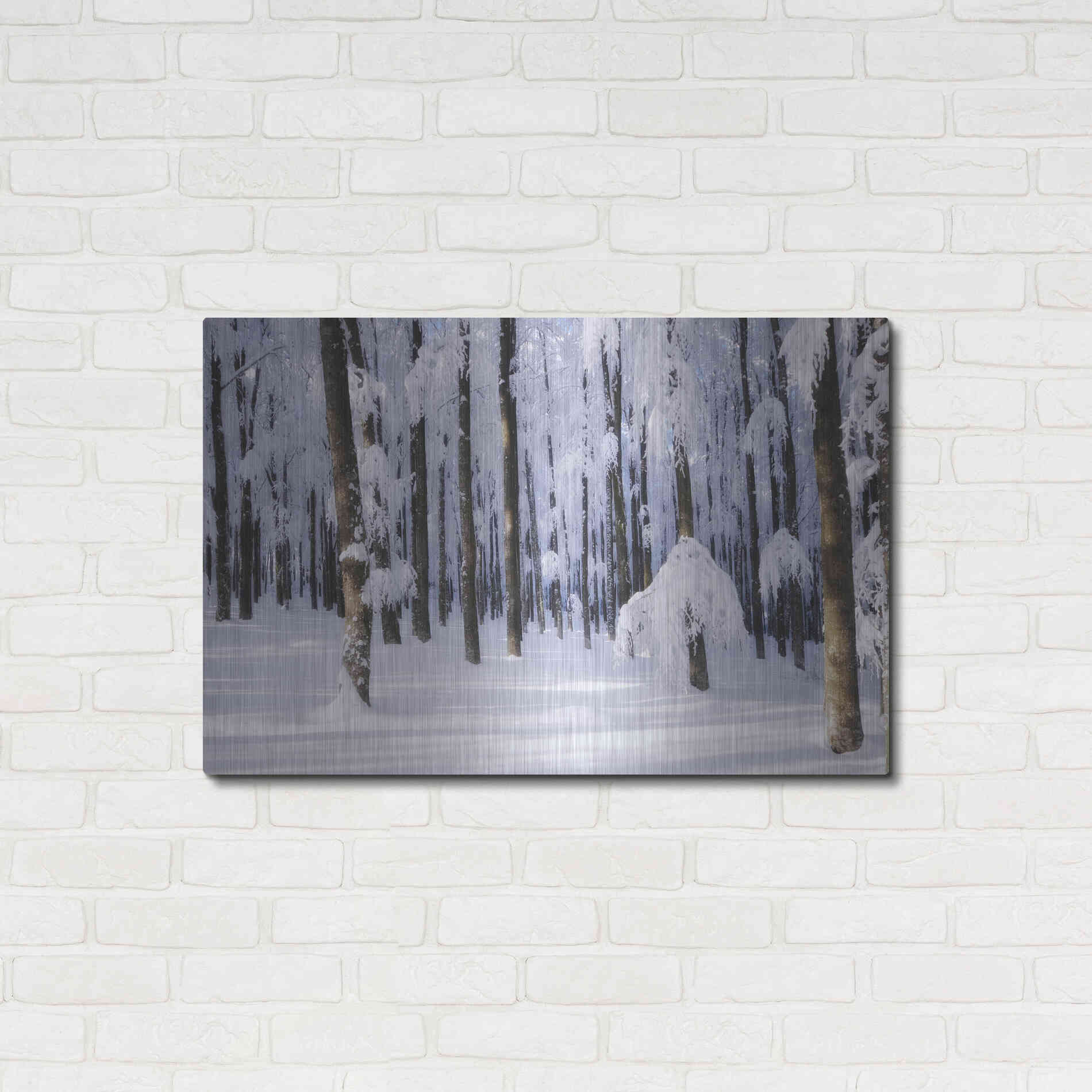Luxe Metal Art 'White Muslin' by Philippe Sainte-Laudy, Metal Wall Art,36x24